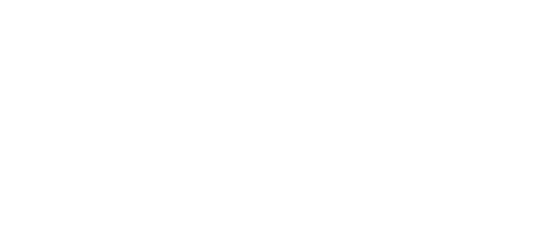 El comienzo